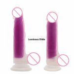 New 4 colors Double Layer Liquid Silicone Artificial Simulation Dildo Fluorescent Luminous Penis Female Masturbator Sex Products