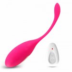 Remote Vibrator Clitoris Sex Toys for Woman Vaginal Balls Kegel Balls Ben Wa Balls Kegel Simulator Vaginal Chinese Balls