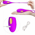 Vibrator Wireless Remote Powerful 10-mode Vagina Balls Remote Control Vibrating Egg G- Spot Vibrator Sex Toy for Women