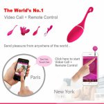 Smart toy REALOV APP Wireless Vibrators Vibrating ball Bluetooth Control G-sport Clitoris Stimulator Sex Toy Massage for Woman
