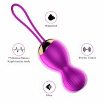 Wireless Remote Control Vibrator Vaginal Dumbbell Exerciser Tight Repair Shrinkin Kegel Balls Geisha Ball Sex Toy for Women sper