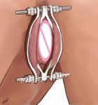 Stainless Steel Pussy Clamps,Pinch Pleasure Labia Spreader,Spread Lips of Vagina Wide,Adult Sex Toys