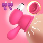 Sex Vibrating Nipple Sucker Breast Enlargement Vibrator Sex Toys Masturbator for Woman Female Clitoris Stimulator Clit Vibrators