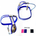 Stainless Steel Chastity Belt Female With Dildo Chastity Device Sex Toys For Woman Eroticos Sex Shop 18+ CD069