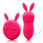 Stimulate Vibrating Remote Rabbit Toy Women Pulse Speed Egg Products G-spot Control Vibrator Clitoris Vibration Sex 7 Bullet