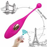 Wireless Remote Control Vibrator Panties Bullet Vibrating Egg Wearable Dildo Vibrator USB G Spot Clitoris Sex toy for Women
