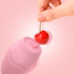 Oral Sex Licking Tongue Vibrating Vibrator Sex Toys for Women Female Nipple Sucking Clitoral Stimulation USB Plug-in 3 Style