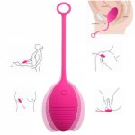 10 Modes Vibrating Egg Ben Wa Ball Kegel Exercise Vaginal USB Rechargeable Vibrators Waterproof Sex Toy For Women Adult Erotic