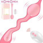 Wireless Remote Vibrating Vaginal Ball G Spot Clitoris Stimulator Silicone Dildo Vibrators Panties Adult Sex Toy for Women