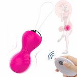 Wireless Remote Vibrating Egg Silicone Exercise Vaginal Vibrator Ben Wa Ball Kegel Ball Female Masturbator Sex Product for Women