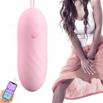 Mobile Phone APP Control Vibrating Egg Rechargable Dildo Vibrator Clitoral Vagina Stimulator Adult Sex Toys for Woman Couples