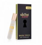 Feromony dla mężczyzn magnetifico secret scent for men 20 ml | 100% dyskrecji | bezpieczne zakupy