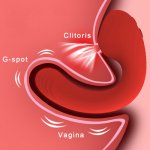 Vagina Sucking Vibrator for Women Double Vibration 10 Speeds Stimulate G spot Vagina Clitoris for Female Mastrubation Sex Toys