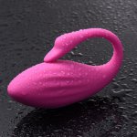 Remote Vibrating Jump Eggs for Women G-spot Clitoris Stimulation Vibrator Sex Toy Smart Vaginal Ball Vibrator