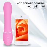 Mobile Phone APP Remote Control Female Vagina Vibrator With Camera Heating Massage Masturbation Device Adult Sex Toy
