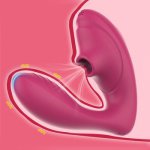 Vagina Sucking Vibrator 10 Speeds Vibrating Sucker Oral Sex Suction Clitoris Stimulator Erotic Sex Toy For Women Sexual Wellness