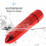 Realistic Vibrator Precision Clitoral Stimulation Discreet Bullet Lipstick Vibrator Waterproof Adult Sex Toy