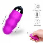 Silicone Vagina Geisha Balls Vibration Kegel Muscle Exerciser Wireless Remote Control Vibrator Sex Jump Egg Toys for Women Adult