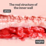 Real Big Ass 3D Silicone Male Masturbator Strapon Pussy Artificial Vagina Tight Anal Adult Penis Double Channels Sex Toy For Men