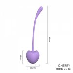 5pcs Vibrating Eggs Vagina Shrinking Kegel Balls Vaginal Tightening Ball Pelvic Floor Exerciser Masturbator Sex Toys for Women