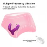 Wireless Wearable Panties Dildo Vibrator Sex Toys for Women Adult Couples Vaginal Hit Touch G Spot Clitoris Stimulator Sex Shop