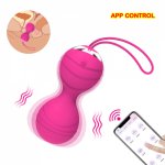 APP Remote Control Vagina Balls Vibrator Female Vaginal Tight Exercise Kegel Ball 10 Frequency Vibrating Eggs Sex Toys For Women