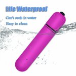 Powerful 10 Speed Mini Bullet Vibrator Waterproof Vibrating Egg Clitoris G-spot Stimulator Dildo Vibrator Sex Toys for Women