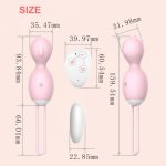 Vagina Eggs Remote Control Vibrator for Women Wearable Panties Dildo Vibrator Vaginal Kegel Ball Wireless Sex Toys for Women
