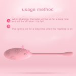 Wireless Remote Control vibrators for women Waterproof Clitoral stimulation Massage sex toy product Tools  USB Charging