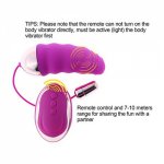 Usb Rechargeable 10 Speed Remote Control Wireless Vibrating Sex Love Eggs Vibrator Sex Toys For Women, Purple Black Erotic Toys