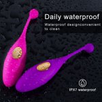 Panties Vibrating Egg Balls Wireless Remote Control Vagina Vibrator Wearable Dildos Vibrators G Spot Clitoris Sex Toys for Women