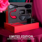 svakom limited edition bdsm gift box