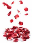 Bijoux Indiscrets, Rose petals explosion płatki róż