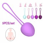 5pcs Silicone Vaginal Balls Trainer Sex Toys for Woman Tighten Exerciser Geisha Balls Ben Wa Balls Kegel Balls Adult Sex Product