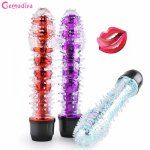 Silicone Crystal Jelly Dildo G Spot Vibrator Clitoris Stimulator Female Masturbation Vagina Massager Vibrator Sex Toy for Women