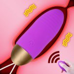 Wireless Remote Control Vibrators 10 Speeds Vibrating Egg Waterproof Sex Toys for Woman Vagina Stimulator