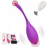 Panties Wireless Remote Control Vibrator Panties Vibrating Eggs Wearable Dildo Vibrator G Spot Clitoris Sex toy for Women