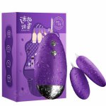 20 Speed Vibrator Sex Toys For Women Wired Double Vibrating Eggs Vibrator Massager Masturbation Remote Control Egg Vibrators