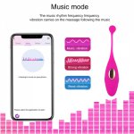 Bluetooth App Remote Control Panties Vibrator Vibrating Eggs Wearable Balls Vibrator G Spot Clitoris Massager Sex Toy for Women