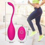 Remote Control Jump Egg Vibrator G-spot Kegel Ball Exercise Vagina Clit Stimulator Female Masturbator Adult Sex Toys for Woman