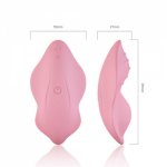 Wearable Panties Vibrator 9 Modes Remote Control Rechargeable Sex Toys For Women Clitoris Stimulator Silicone Erotic Toys
