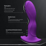 2 IN 1 Anal Vibrator Wireless Remote G Spot Stimulator Vibrator Heating Prostatic Massager Anal Plug Sex Toys For Men Women