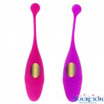 Panties Wireless Remote Control Vibrator Vibrating Eggs Wearable Balls Vibrator G Spot Clitoris Massager Adult Sex toy for Women