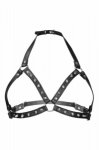 SEXY CHEST HARNESS WITH PICS